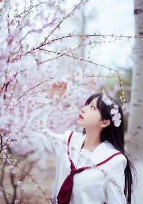 回复术士之重启人生免费完整版_1080免费观看最新